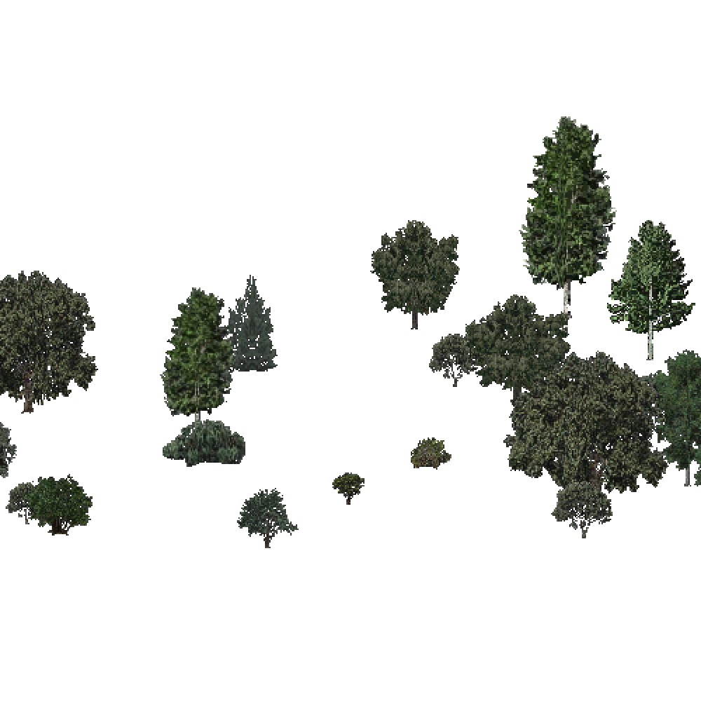 Screenshot of USA Forest, Southern Rocky Mountain, Deciduous Sparse