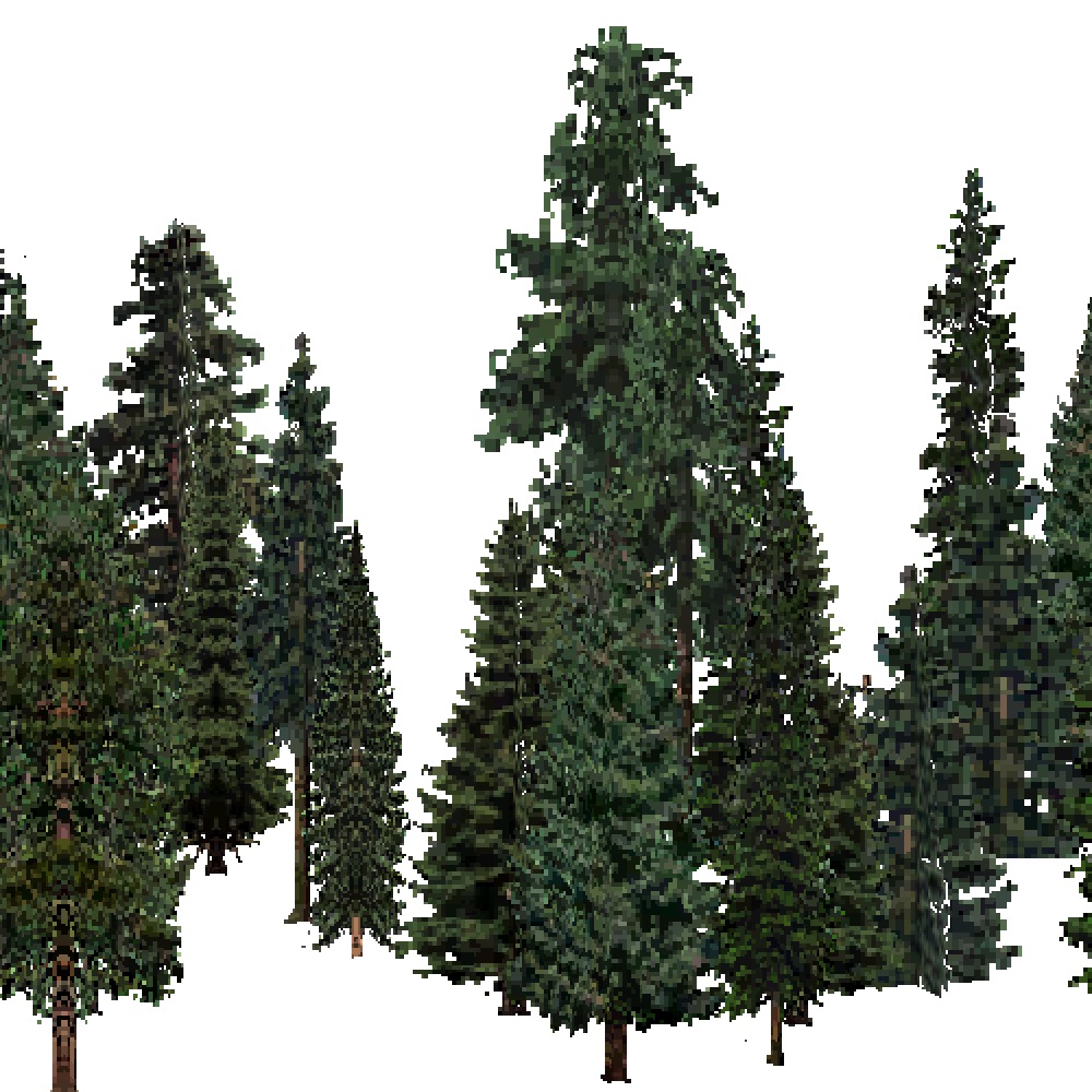 Screenshot of USA Forest, Southern Rocky Mountain, Evergreen Dense