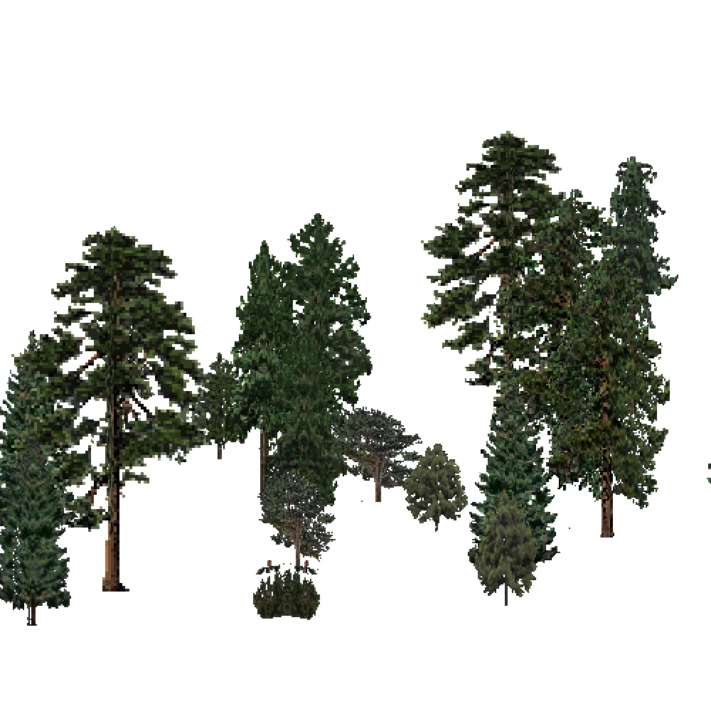 Screenshot of USA Forest, Southern Rocky Mountain, Evergreen Sparse