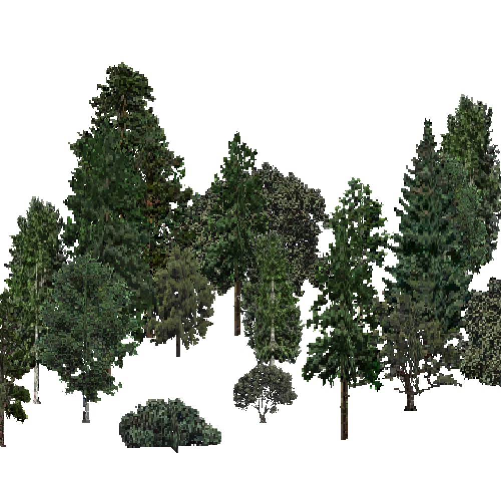 Screenshot of USA Forest, Southern Rocky Mountain, Mixed Dense