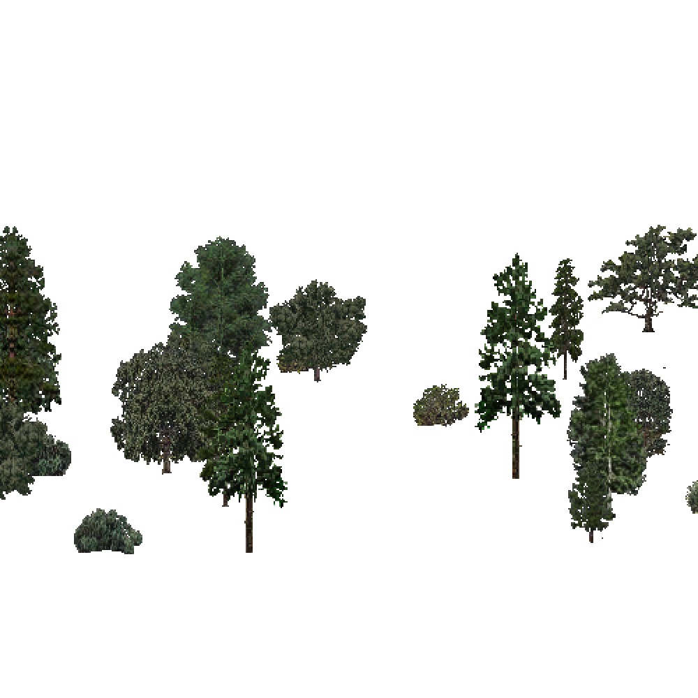 Screenshot of USA Forest, Southern Rocky Mountain, Mixed Sparse