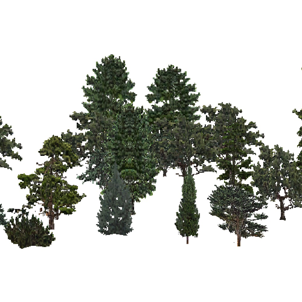 Screenshot of USA Forest, Southwest Plateau And Plains, Evergreen Dense