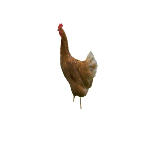Screenshot of Chicken