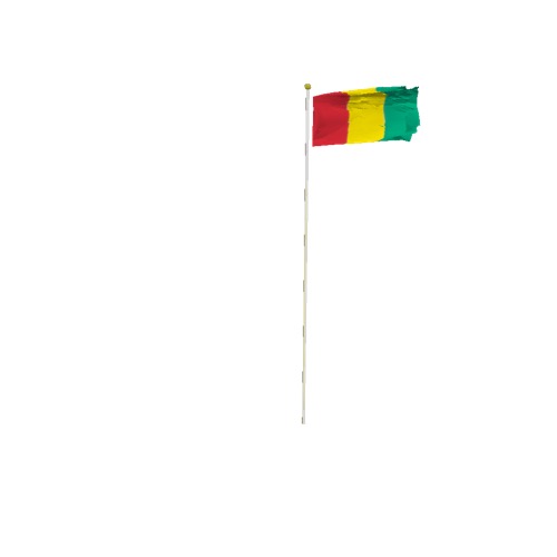 Screenshot of Flag, Guinea
