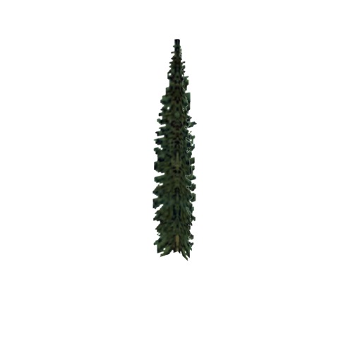 Screenshot of Tree, Abies (Fir), 10m