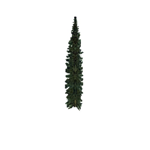 Screenshot of Tree, Abies (Fir), 13m