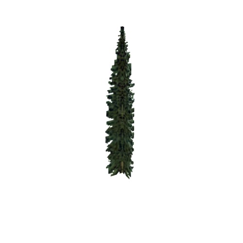 Screenshot of Tree, Abies (Fir), 16m