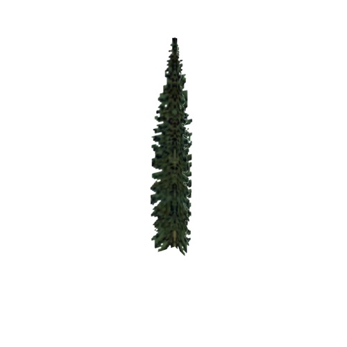 Screenshot of Tree, Abies (Fir), 18m