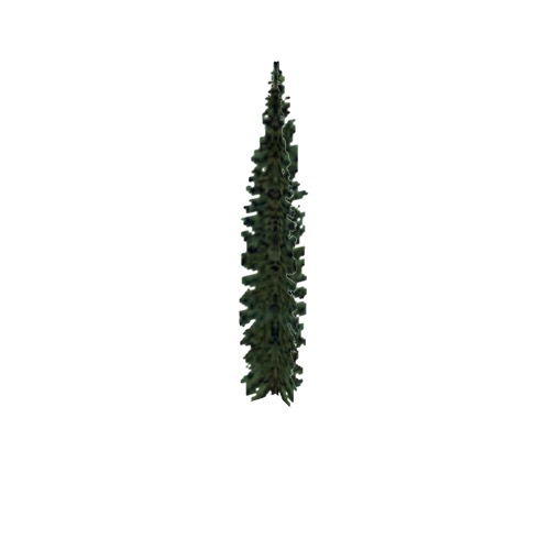 Screenshot of Tree, Abies (Fir), 19m