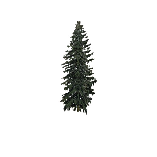 Screenshot of Tree, Abies (Fir), 19m