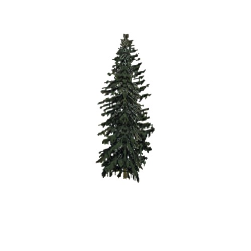 Screenshot of Tree, Abies (Fir), 22m