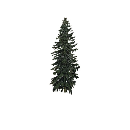 Screenshot of Tree, Abies (Fir), 23m