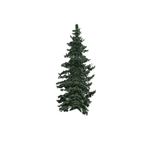 Screenshot of Tree, Abies (Fir), 18m