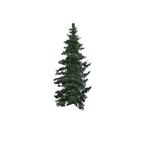 Screenshot of Tree, Abies (Fir), 21m