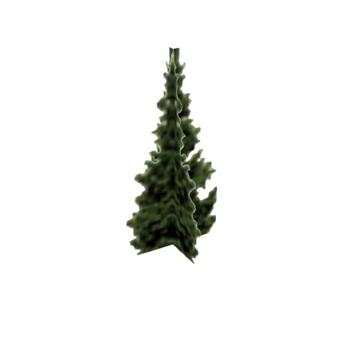 Screenshot of Tree, Abies (Fir), 10m