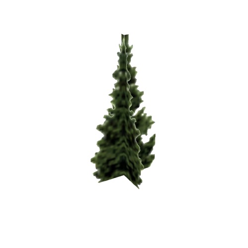 Screenshot of Tree, Abies (Fir), 12m