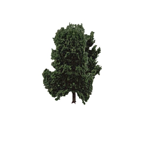 Screenshot of Tree, Aesculus, Glabra (Buckeye), 11m