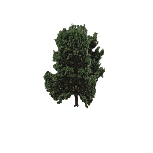 Screenshot of Tree, Aesculus, Glabra (Buckeye), 12m
