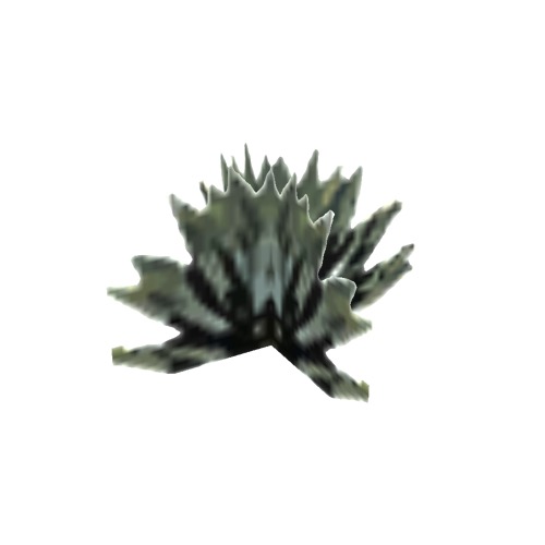 Screenshot of Succulent, Agave, 2.5m