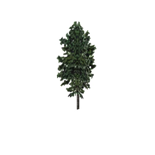 Screenshot of Tree, Alnus (Alder), 20m