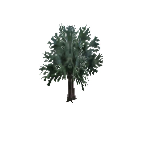 Screenshot of Tree, Arecaceae (Palm), 5.5m
