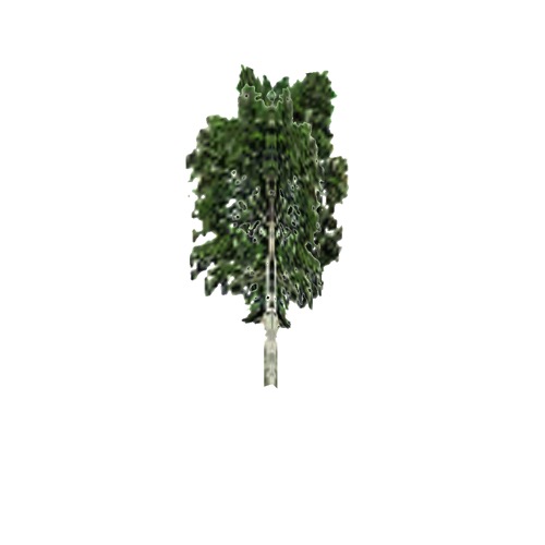 Screenshot of Tree, Betula, Pendula (Silver Birch), 9.5m