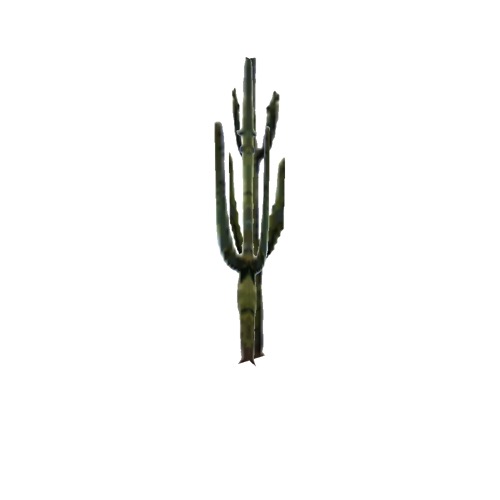 Screenshot of Cactus, Carnegiea (Saguaro), 10m
