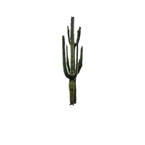 Screenshot of Cactus, Carnegiea (Saguaro), 9.5m