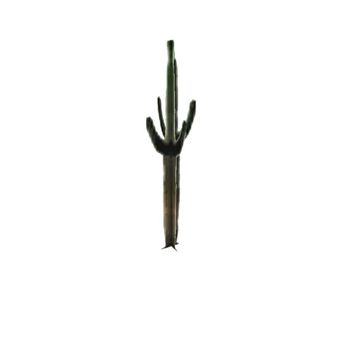 Screenshot of Cactus, Carnegiea (Saguaro), 7m