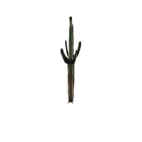 Screenshot of Cactus, Carnegiea (Saguaro), 8.5m