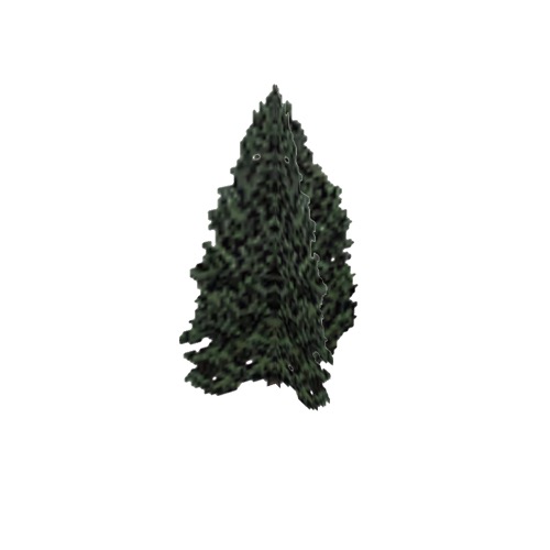 Screenshot of Tree, Cupressus (Cypress), 10m