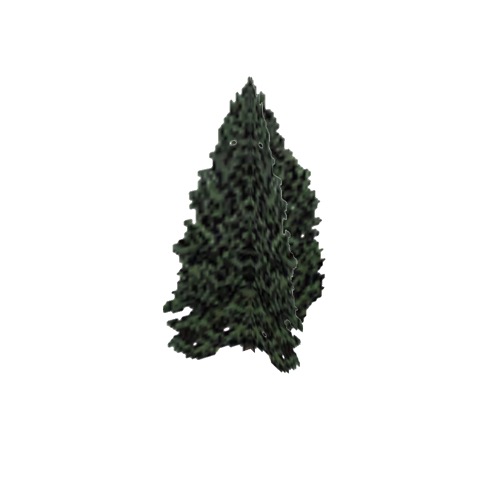 Screenshot of Tree, Cupressus (Cypress), 11m