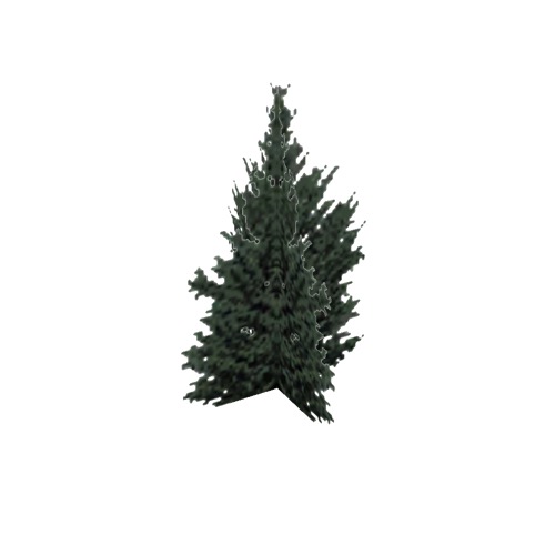 Screenshot of Tree, Cupressus (Cypress), 10m