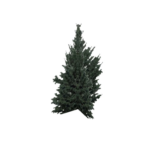 Screenshot of Tree, Cupressus (Cypress), 9m