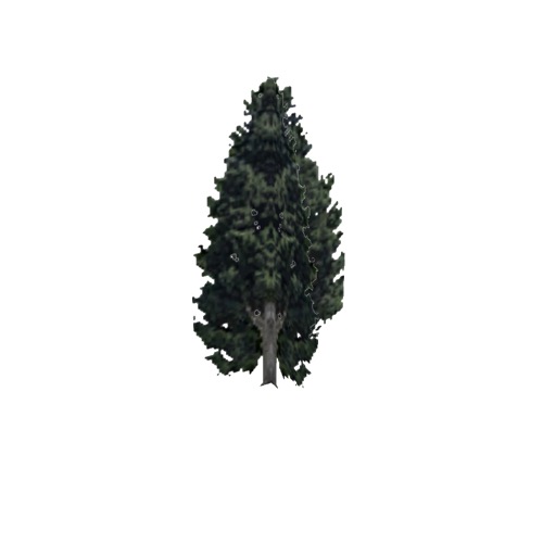 Screenshot of Tree, Cupressus (Cypress), 14m