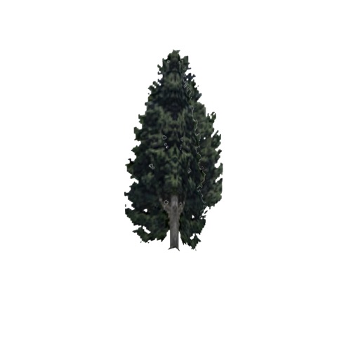 Screenshot of Tree, Cupressus (Cypress), 16m