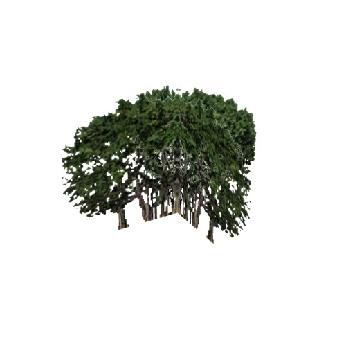 Screenshot of Tree, Ficus, Urostigma (Banyan Fig), 15m