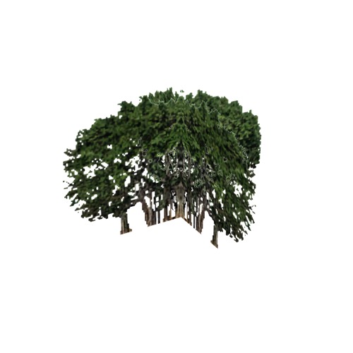 Screenshot of Tree, Ficus, Urostigma (Banyan Fig), 16m