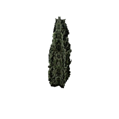 Screenshot of Tree, Juniperus (Juniper), 7.5m