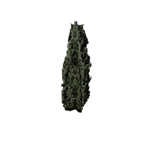 Screenshot of Tree, Juniperus (Juniper), 8m