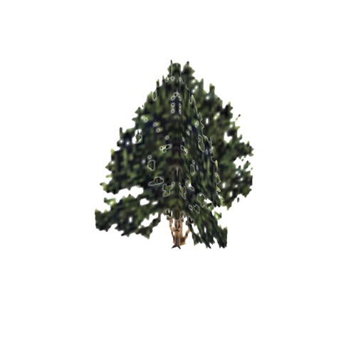 Screenshot of Tree, Juniperus, Californica (California Juniper), 5m