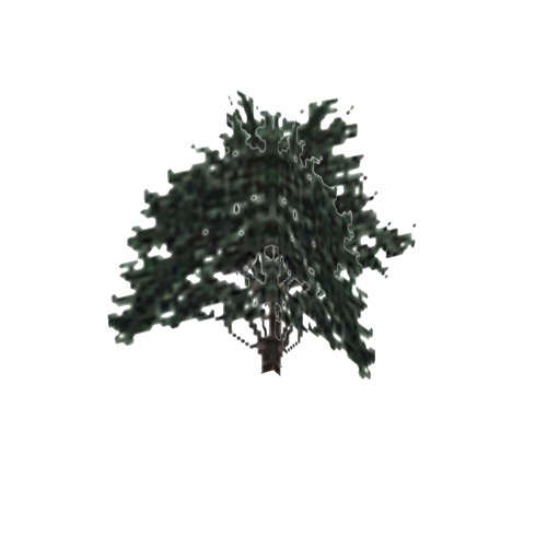 Screenshot of Tree, Juniperus, Californica (California Juniper), 5.5m