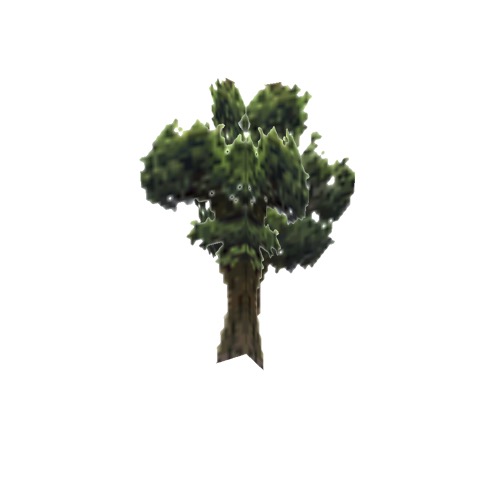 Screenshot of Tree, Juniperus (Juniper), 7.5m