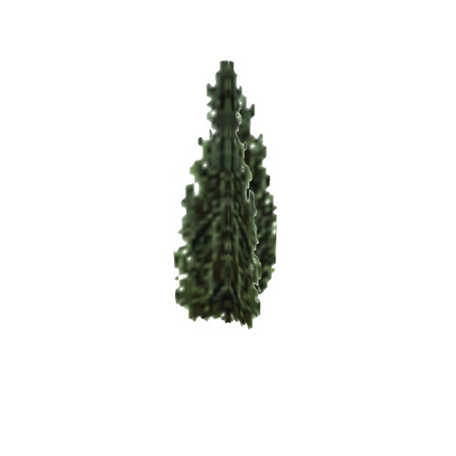 Screenshot of Tree, Juniperus (Juniper), 5.5m