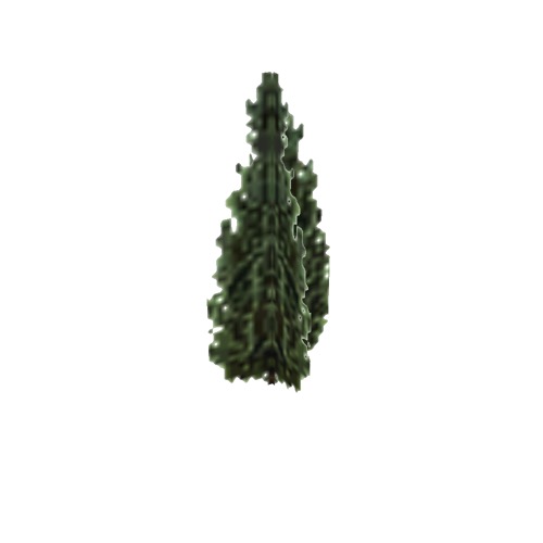 Screenshot of Tree, Juniperus (Juniper), 5m