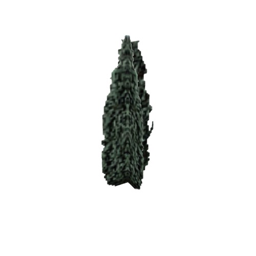 Screenshot of Tree, Juniperus, Virginiana (Red Juniper), 7.5m