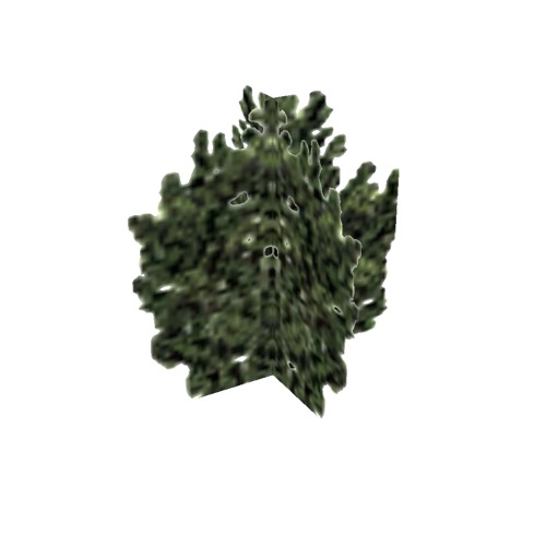 Screenshot of Tree, Laurus (Laurel), 4m