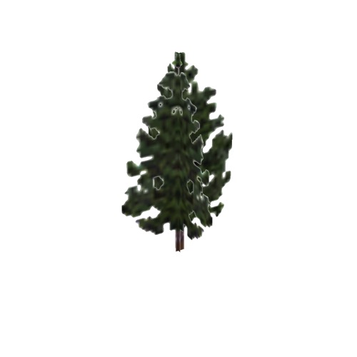 Screenshot of Tree, Pinus (Pine), 11m