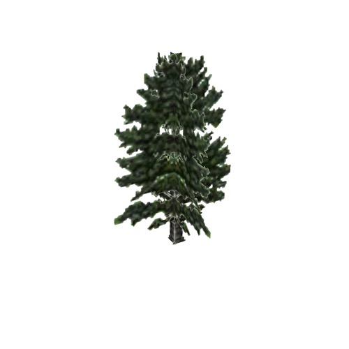 Screenshot of Tree, Pinus, Radiata (Monterey Pine), 17m