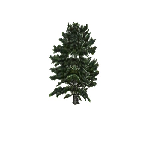 Screenshot of Tree, Pinus, Radiata (Monterey Pine), 21m